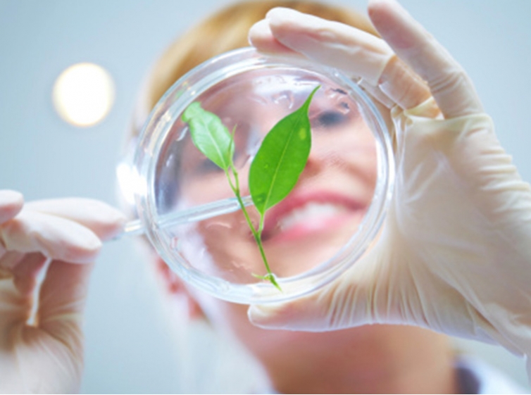 Expanscience的目标是到2035年实现50%的原材料来自再生农业